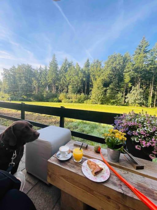Magical Cottage In The Woods Baarn Exterior foto